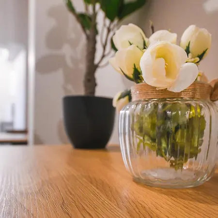 Two Bedroom Apartment In The City Center * Kolozsvár
